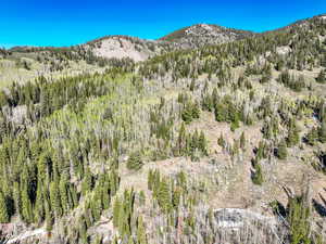 View of mountain background with a forest