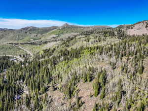 Mountain view featuring a heavily wooded area