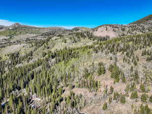 Mountain view featuring a forest