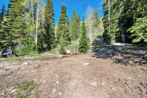 View of undeveloped land