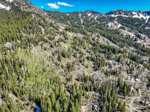 Mountain view with a forest