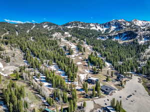 Drone / aerial view of a mountainous background and a heavily wooded area