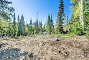 View of undeveloped land