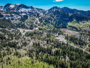 View of mountain backdrop with a forest