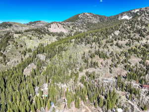 Mountain view featuring a forest