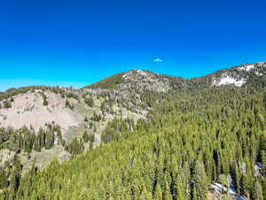 View of mountain backdrop featuring a forest