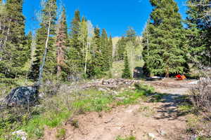 View of yard featuring a view of trees