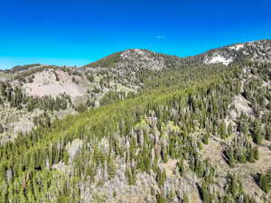 View of mountain background featuring a heavily wooded area