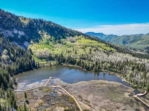 Bird's eye view of a heavily wooded area and a water and mountain view