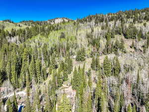 Mountain view featuring a forest