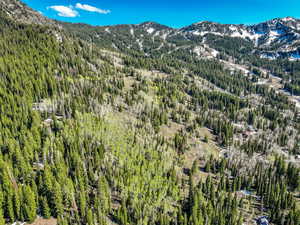 Mountain view with a forest