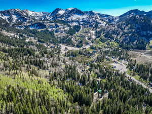 View of mountain backdrop with a heavily wooded area