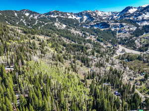 Mountain view featuring a heavily wooded area