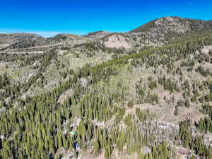 Mountain view with a heavily wooded area