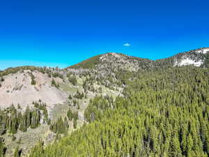 View of mountain background with a heavily wooded area