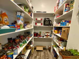 View of oversize walk in pantry