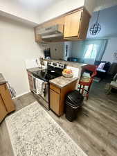 Kitchen with stainless steel electric range oven, under cabinet range hood, a peninsula, light wood-type flooring, and open floor plan