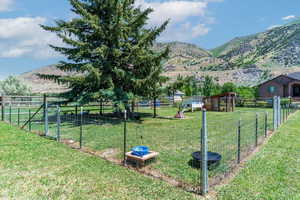 View of yard with a mountain view and a rural view