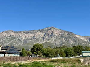 Mountain view from yard
