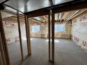 Basement featuring healthy amount of natural light