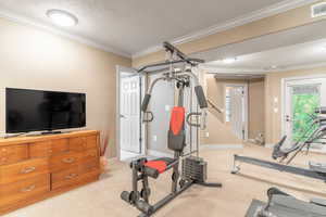 Exercise room with ornamental molding, baseboards, light carpet, and a textured ceiling