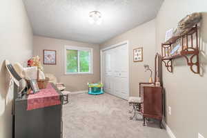 Sitting room featuring carpet, a textured ceiling, and baseboards