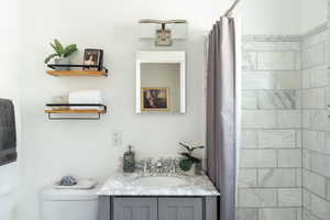 Full bathroom with toilet, vanity, and a shower with curtain