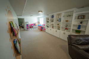 Flex room off family room in basement.  So many possibilities!