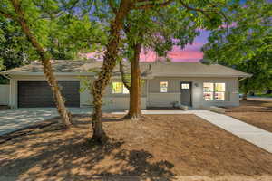 Single story home with brick siding, a garage, concrete driveway, and roof with shingles