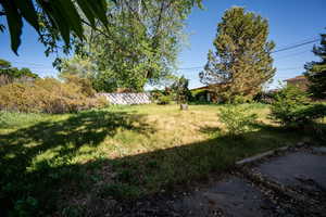 View of grassy yard