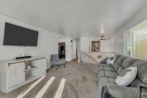 Living Room with lots of natural light