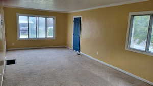 Carpeted spare room featuring plenty of natural light, baseboards, and crown molding