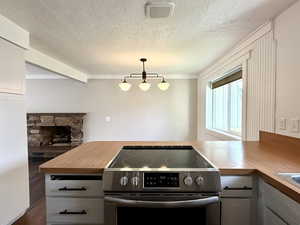 Kitchen featuring stainless steel range with electric stovetop, a textured ceiling, dark wood-style flooring, a stone fireplace, and ornamental molding