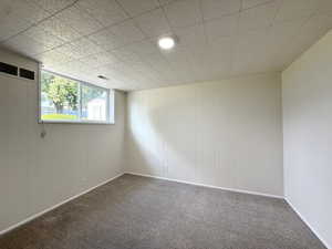 Carpeted empty room featuring baseboards and wood walls