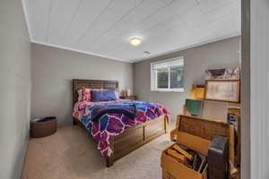 Bedroom featuring carpet and ornamental molding