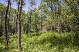 Photo 23 of 5426 E COLTER