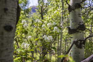 Photo 19 of 5426 E COLTER