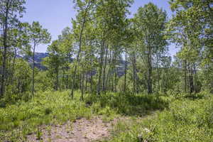 Photo 6 of 5426 E COLTER