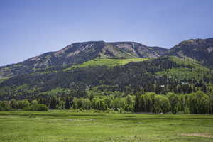 Photo 10 of 5426 E COLTER