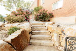 View of stairs
