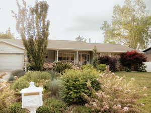 Ranch-style house featuring an attached garage and concrete driveway
