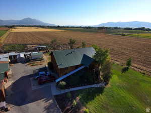 Overview of rural landscape featuring rows of crops and a mountain backdrop