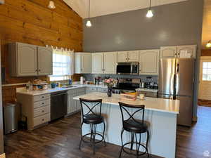 Kitchen featuring stainless steel appliances, high vaulted ceiling, a sink, dark wood-type flooring, and plenty of natural light