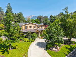 View of front of house with a front yard, a standing seam roof, a mountain view, metal roof, and curved driveway