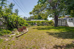 View of grassy yard