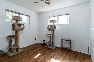 Exercise room featuring plenty of natural light, wood finished floors, a textured ceiling, and ceiling fan