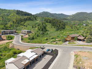 Aerial view of a mountainous background and a heavily wooded area
