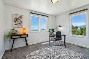 Home office/bedroom  featuring plenty of natural light