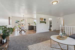 Carpeted living room with a chandelier, wood finished floors