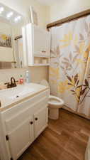 Bathroom with vanity, wood finished floors, toilet, backsplash, and a shower with curtain